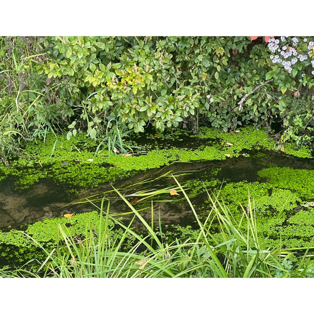 Meet your Posher, Posh